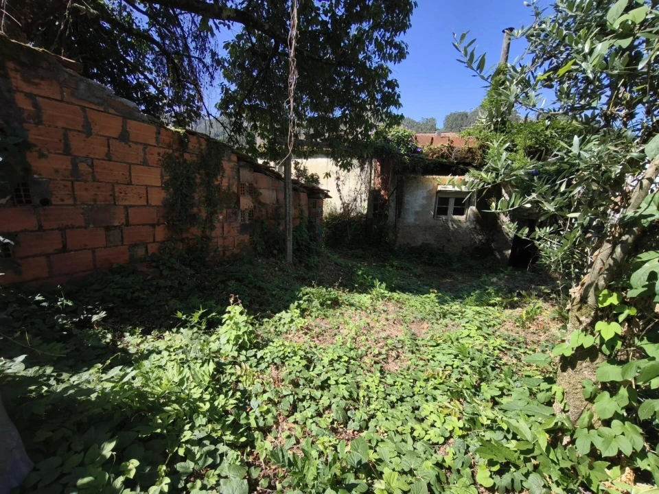 Moradia T3 para Venda em Penacova Foto 9