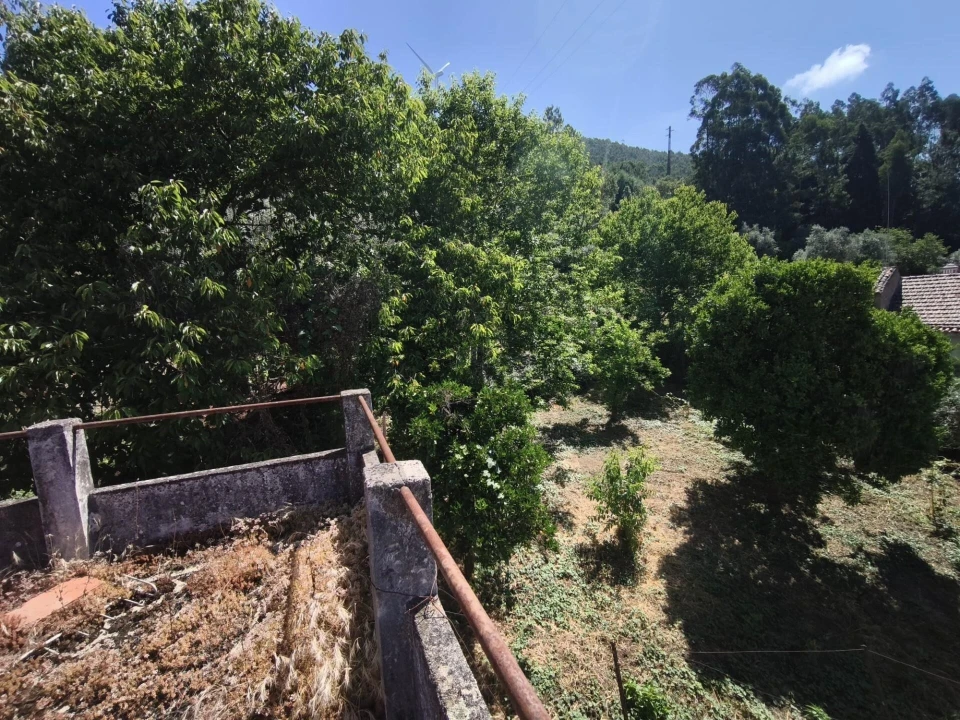 Moradia T3 para Venda em Penacova Foto 3