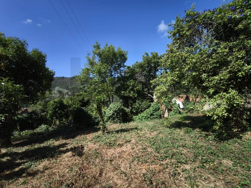 Moradia T3 para Venda em Penacova Foto 10