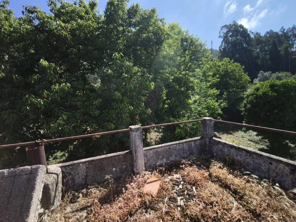 Moradia T3 para Venda em Penacova Foto 16