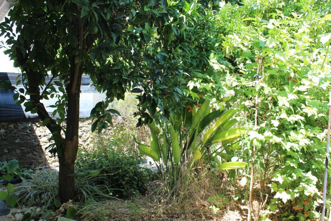 Moradia T4 para Venda em Cano Foto 21