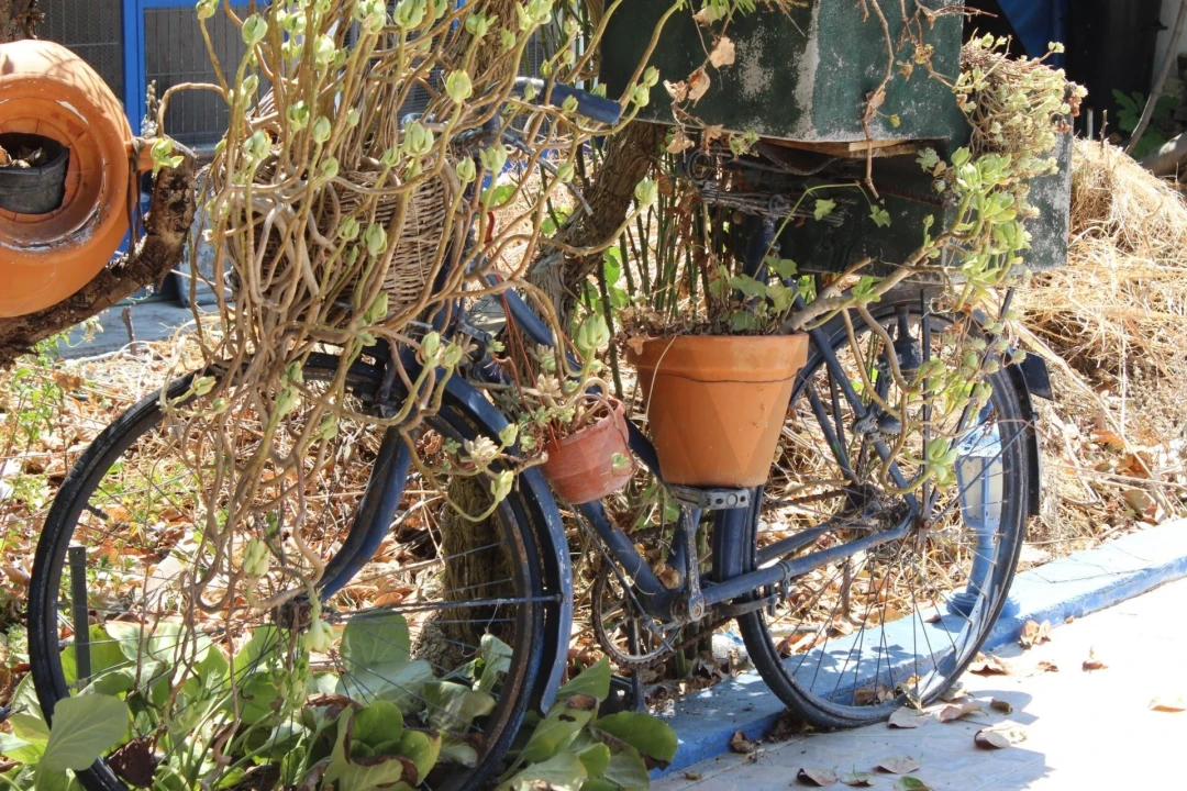 Moradia T4 para Venda em Cano Foto 33