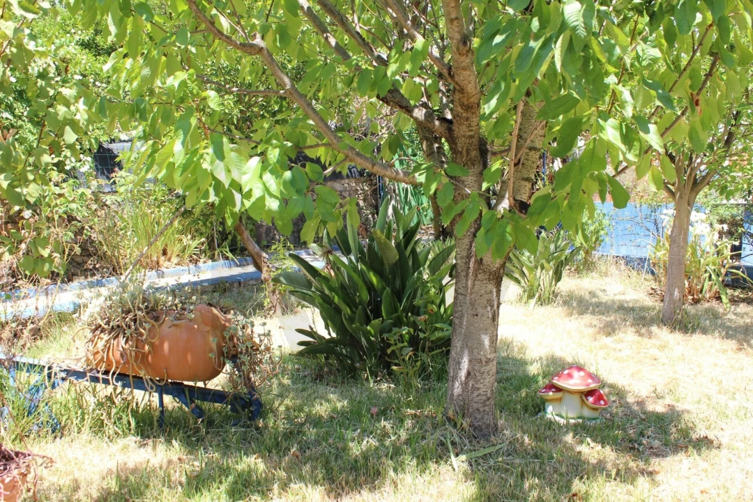 Moradia T4 para Venda em Cano Foto 24