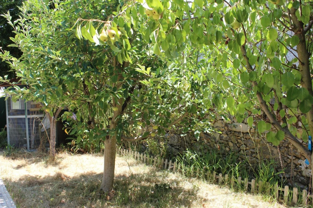 Moradia T4 para Venda em Cano Foto 23