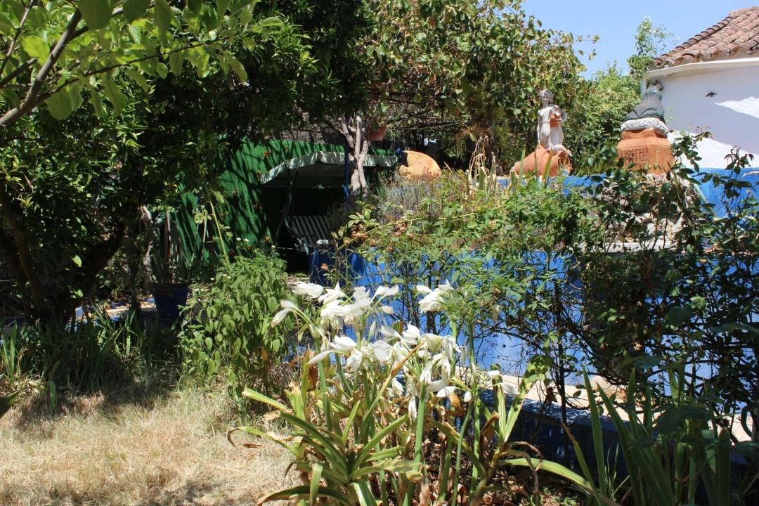 Moradia T4 para Venda em Cano Foto 28