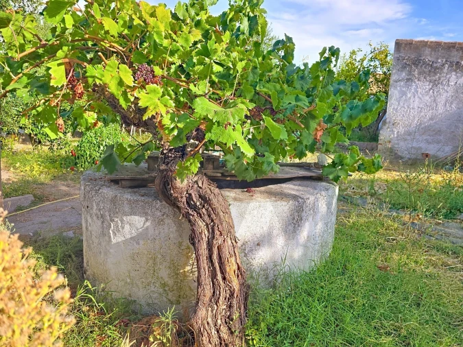 Moradia T2 para Venda em Pedrogão Foto 22