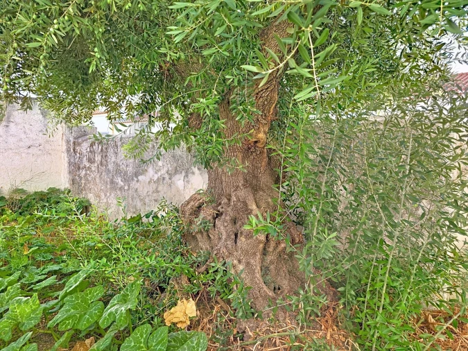 Moradia T2 para Venda em Pedrogão Foto 23