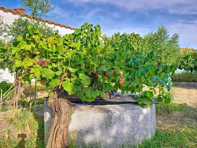 Moradia T2 para Venda em Pedrogão Foto 29
