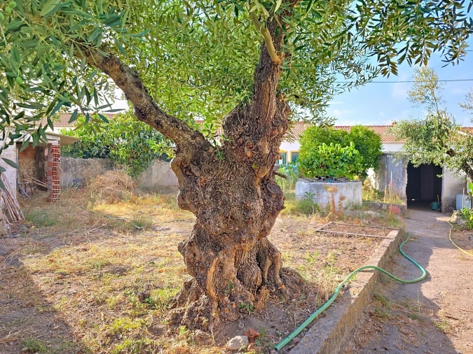 Moradia T2 para Venda em Pedrogão Foto 21