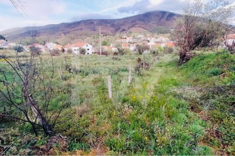 Terreno para Venda em Valhelhas