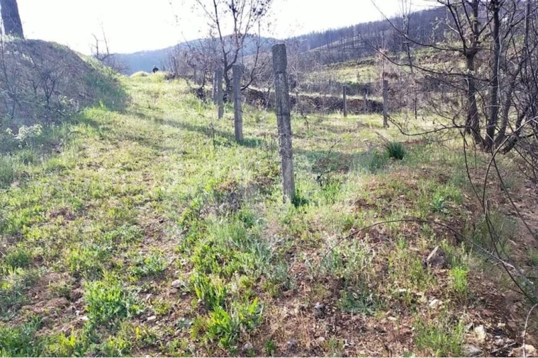 Terreno para Venda em Valhelhas Foto 4