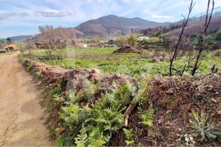 Terreno para Venda em Valhelhas Foto 5