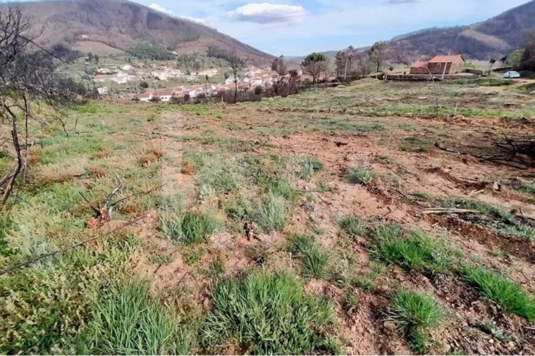 Terreno para Venda em Valhelhas Foto 3