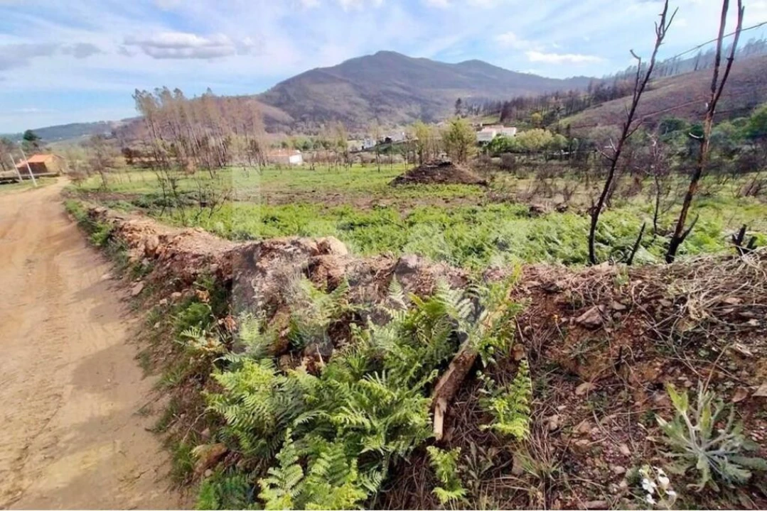 Terreno para Venda em Valhelhas Foto 5