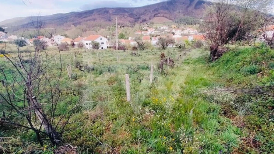 Terreno para Venda em Valhelhas