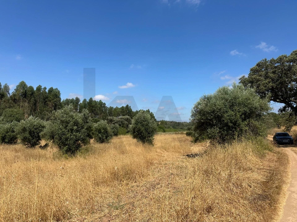 Quinta para Venda em Abela Foto 24