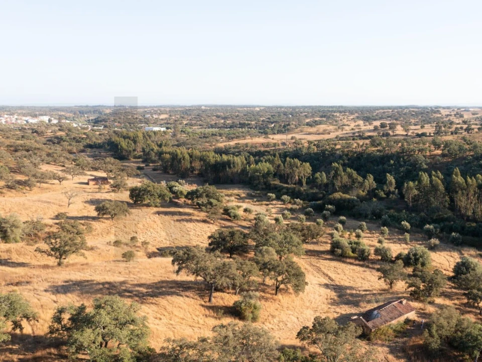 Quinta para Venda em Abela Foto 6