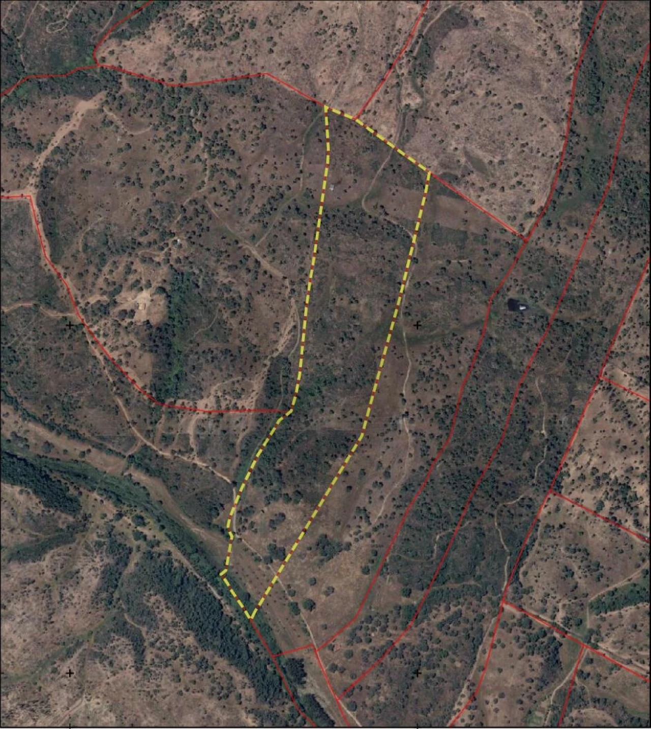 Quinta para Venda em Abela Foto 26