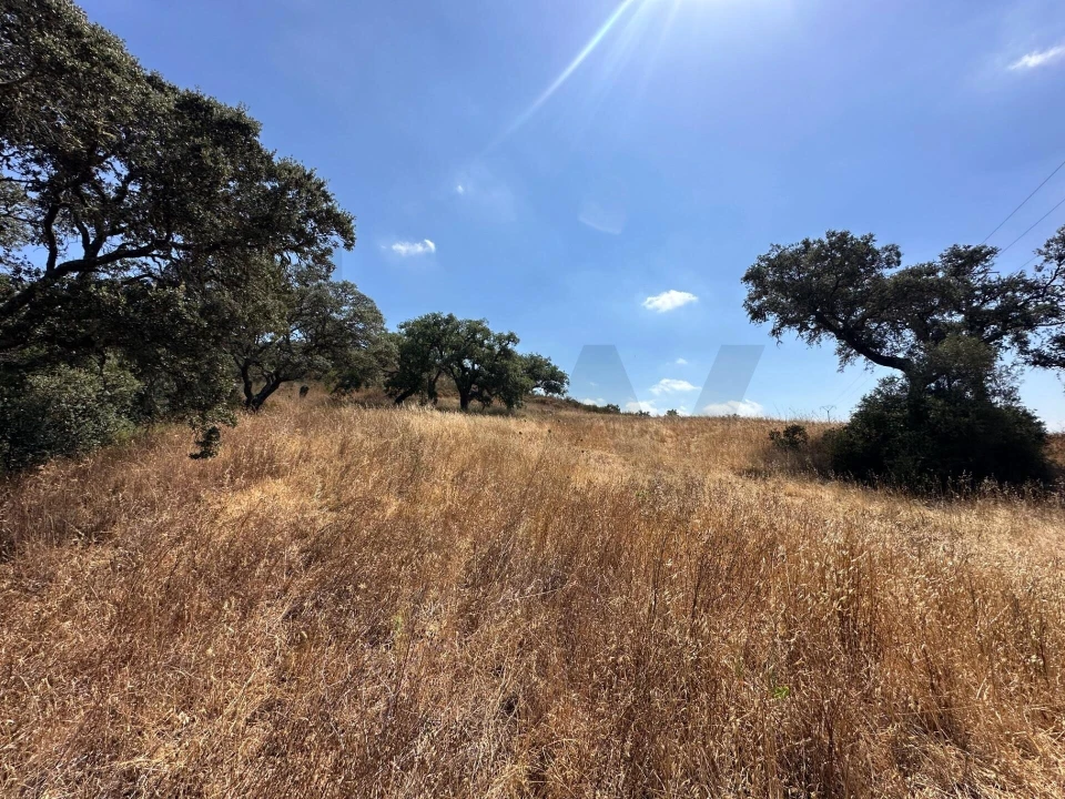 Quinta para Venda em Abela Foto 21