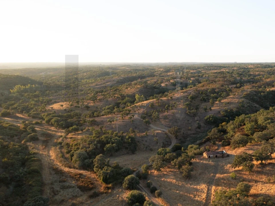 Quinta para Venda em Abela Foto 17