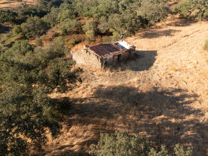 Quinta para Venda em Abela Foto 3