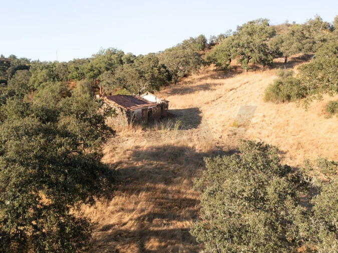 Quinta para Venda em Abela Foto 19