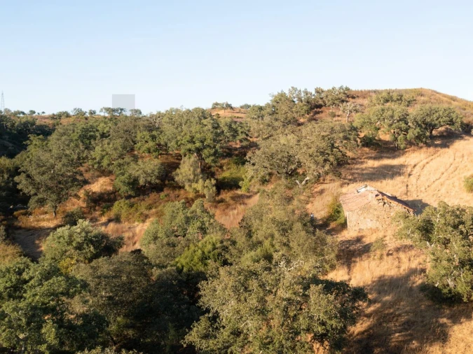 Quinta para Venda em Abela Foto 12