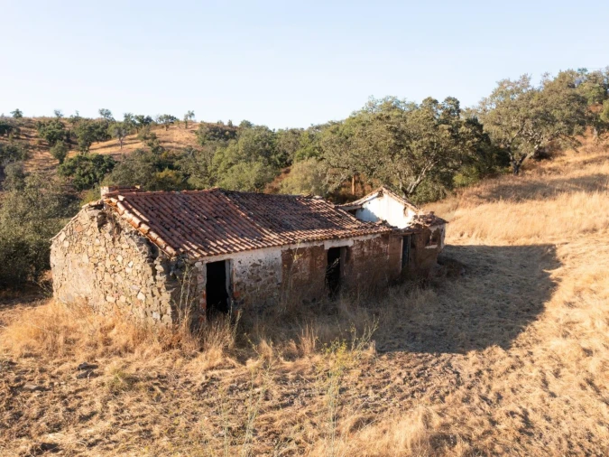Quinta para Venda em Abela Foto 2