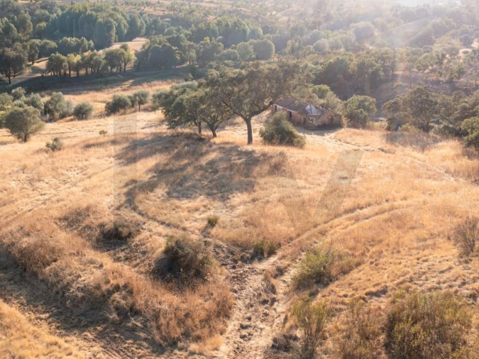 Quinta para Venda em Abela Foto 5