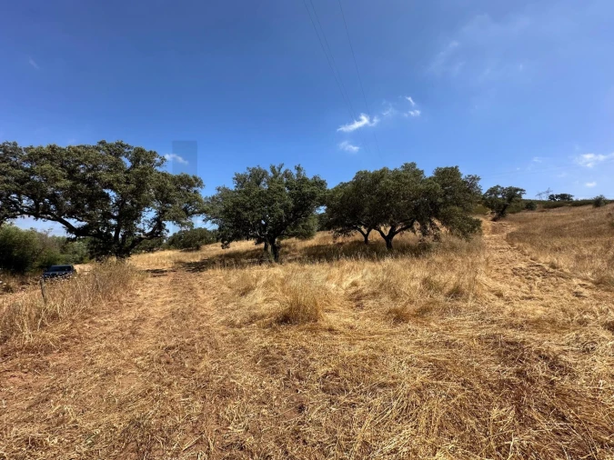 Quinta para Venda em Abela Foto 22