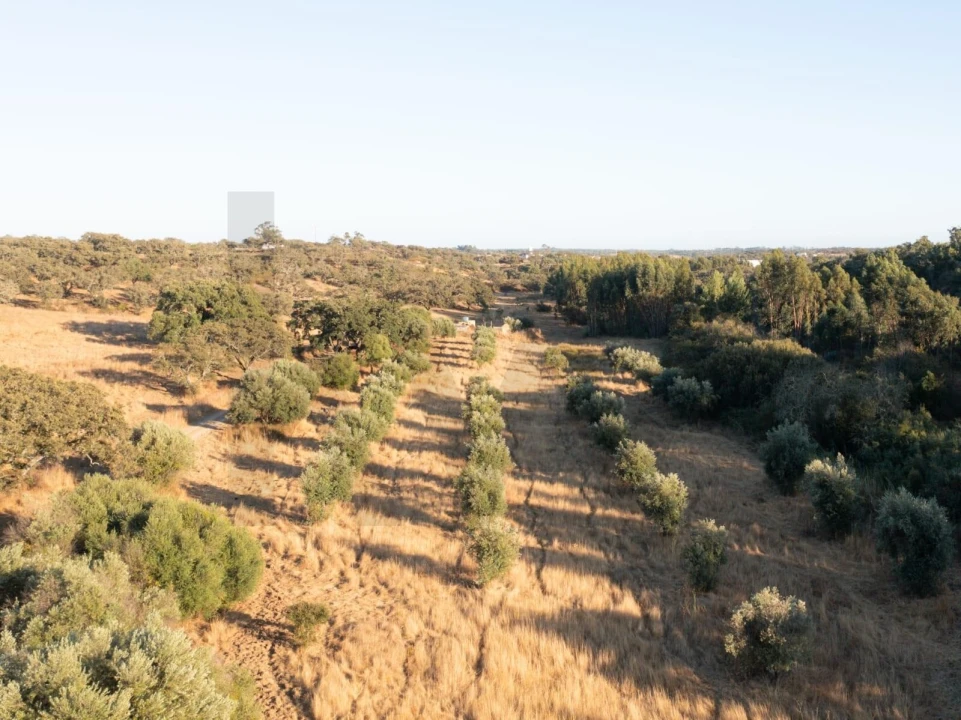 Quinta para Venda em Abela Foto 11