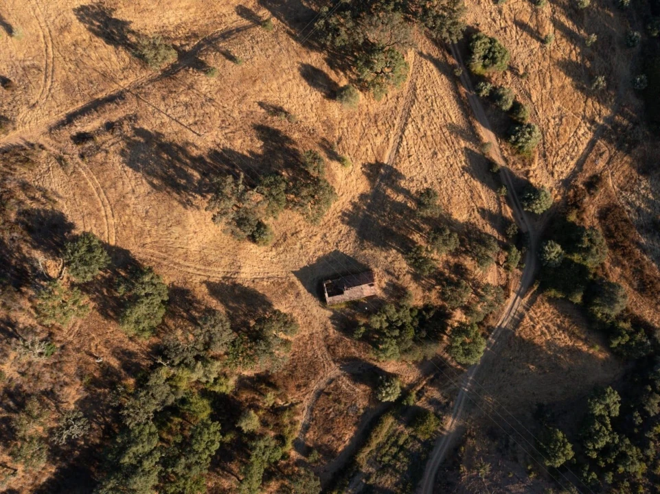 Quinta para Venda em Abela Foto 10