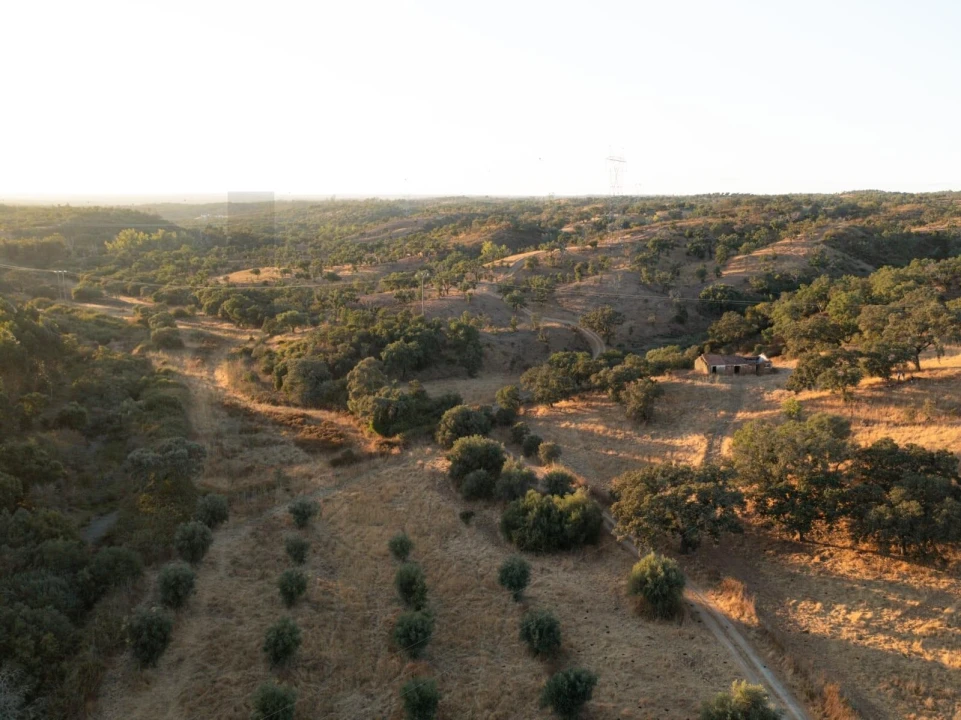 Quinta para Venda em Abela Foto 16