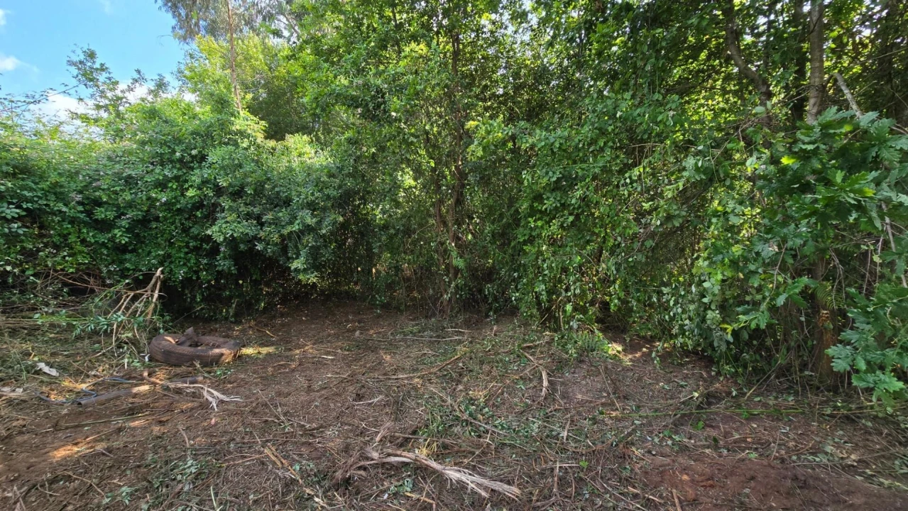 Terreno para Venda em Gandra Foto 3