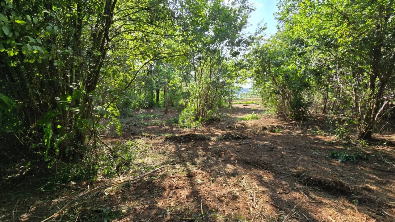Terreno para Venda em Gandra Foto 5