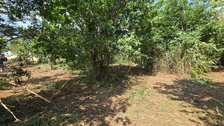 Terreno para Venda em Gandra Foto 7