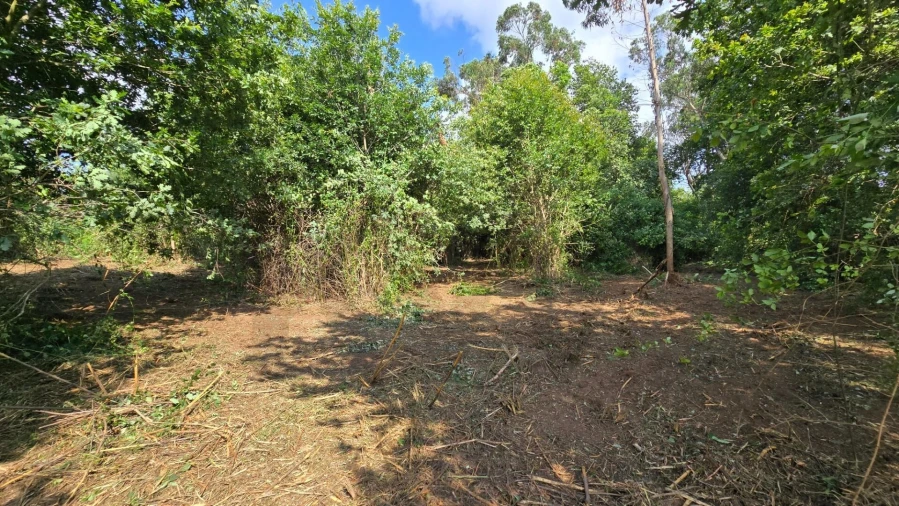 Terreno para Venda em Gandra Foto 6