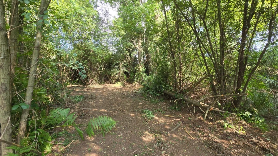 Terreno para Venda em Gandra Foto 4