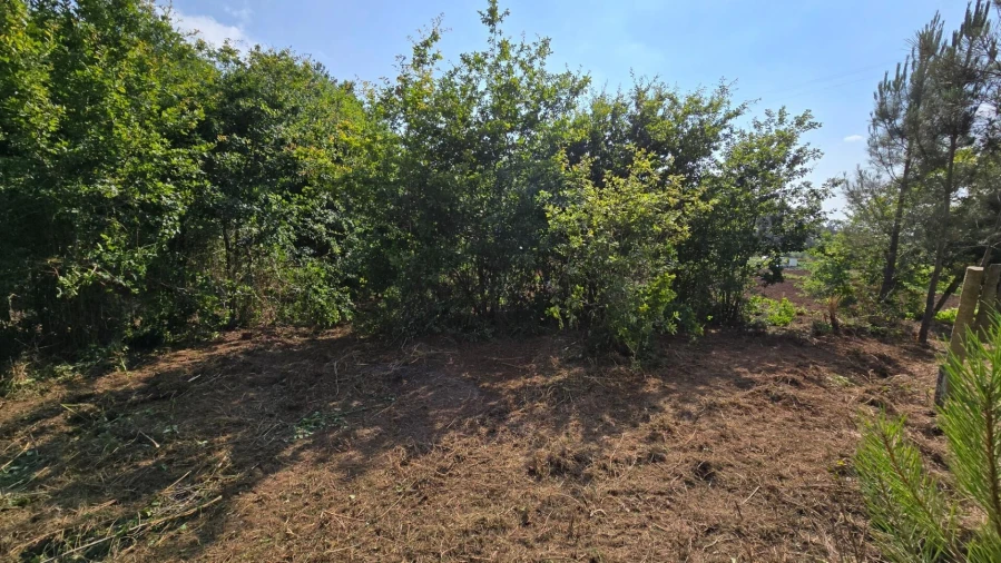 Terreno para Venda em Gandra Foto 8