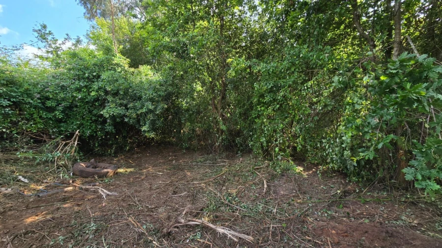 Terreno para Venda em Gandra Foto 9