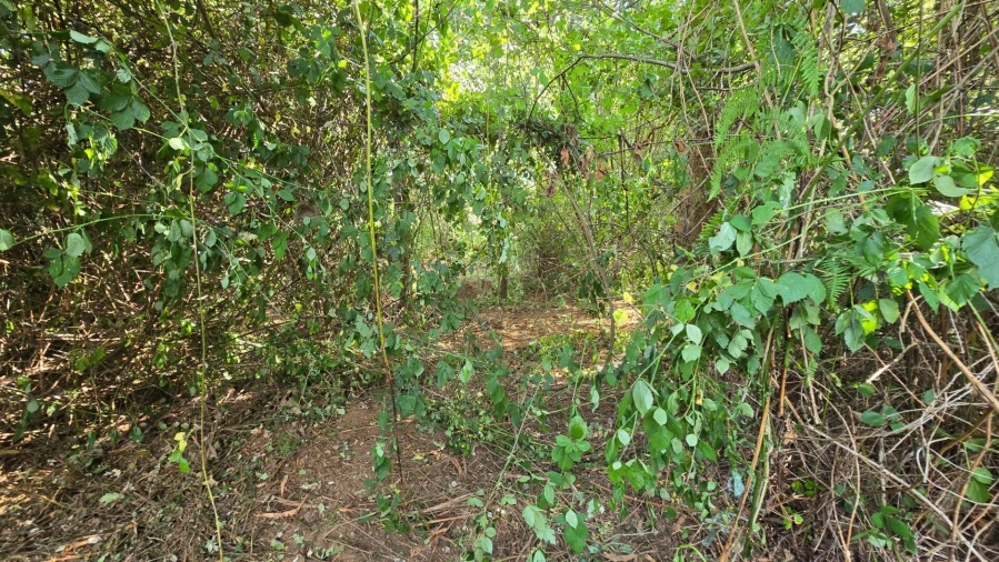 Terreno para Venda em Gandra Foto 10