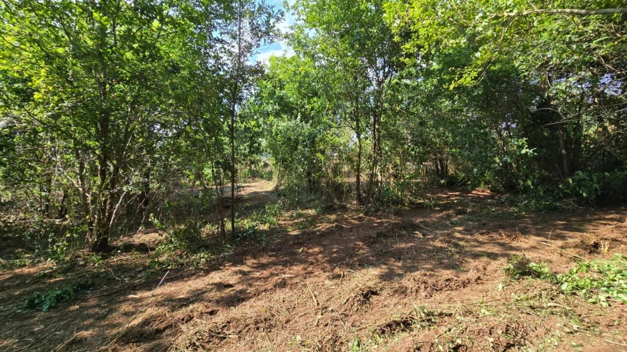 Terreno para Venda em Gandra Foto 14