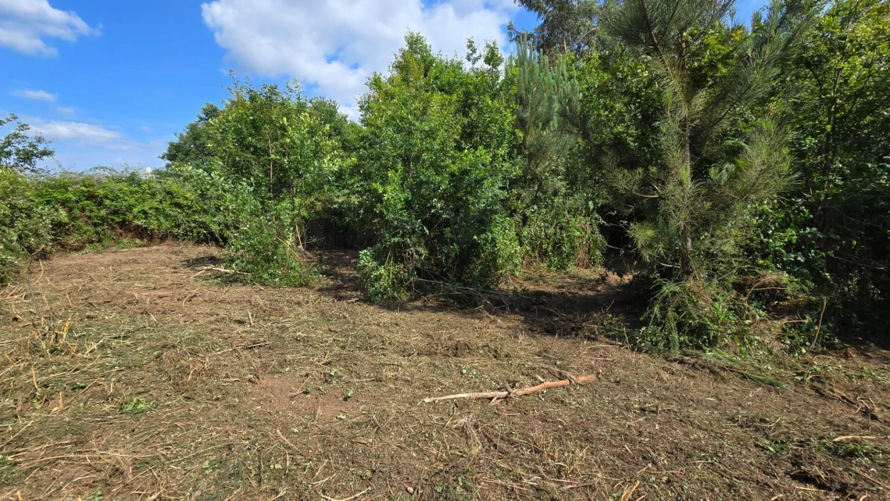 Terreno para Venda em Gandra Foto 2