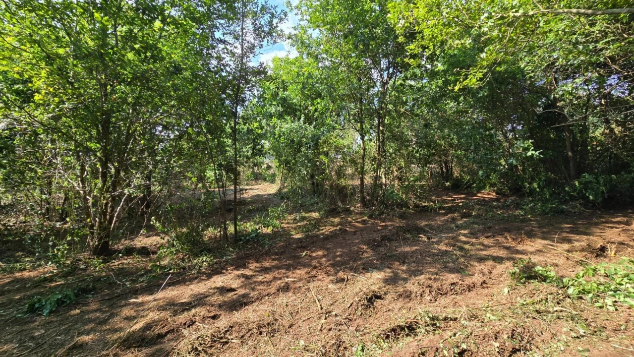 Terreno para Venda em Gandra Foto 14