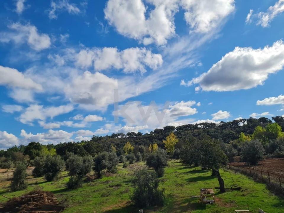 Quinta T4 para Venda em Cercal Foto 21