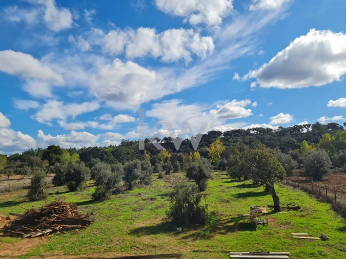 Quinta T4 para Venda em Cercal Foto 22