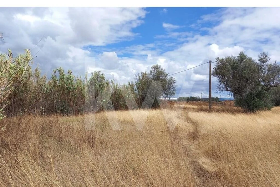 Terreno para Venda em Montijo e Afonsoeiro Foto 16