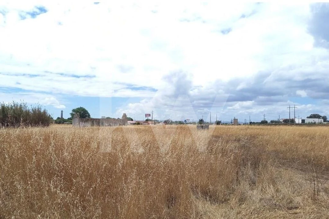 Terreno para Venda em Montijo e Afonsoeiro Foto 12