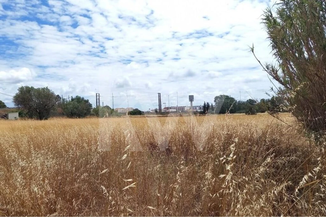 Terreno para Venda em Montijo e Afonsoeiro Foto 5