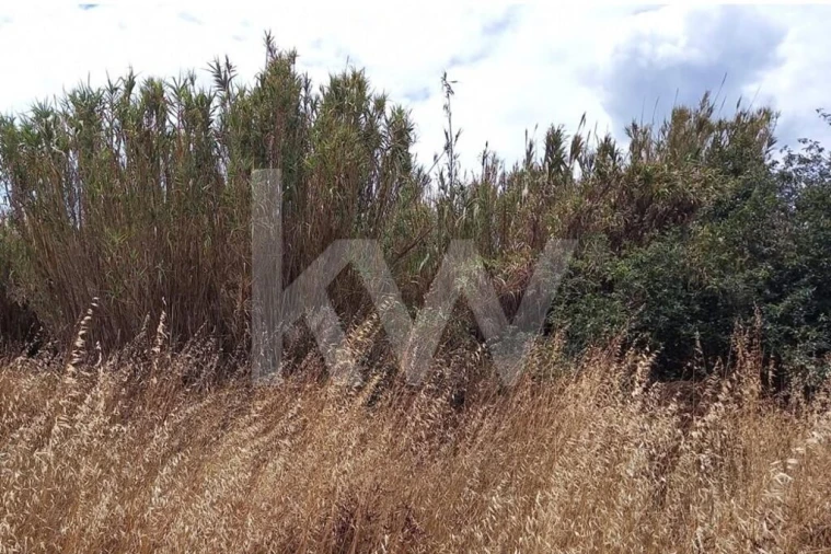 Terreno para Venda em Montijo e Afonsoeiro Foto 10